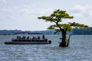 Pontoon